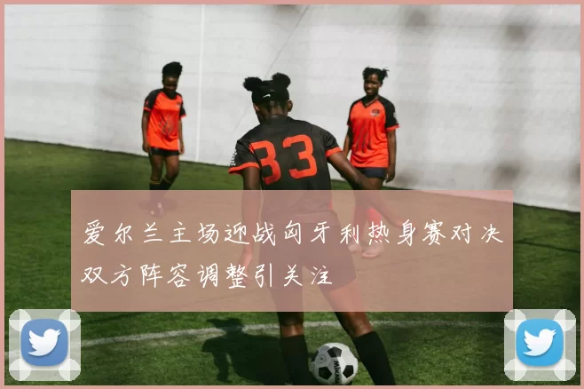 爱尔兰主场迎战匈牙利热身赛对决双方阵容调整引关注