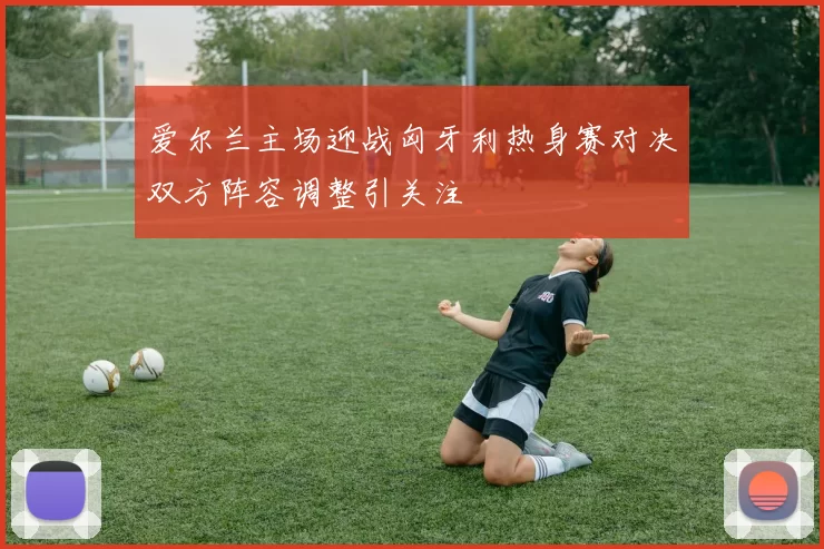 爱尔兰主场迎战匈牙利热身赛对决双方阵容调整引关注